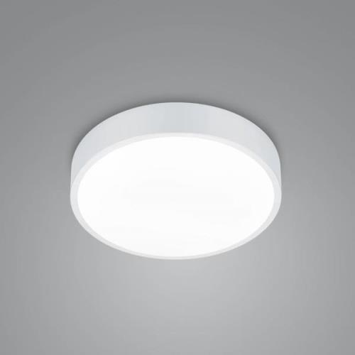 LED-kattovalaisin Waco, CCT, Ø 31cm, matta valkoinen