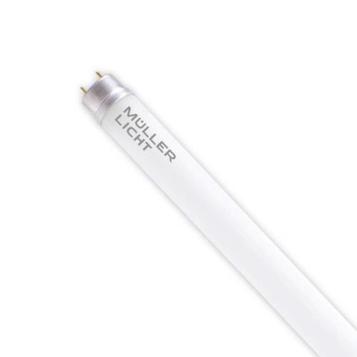 LED-loisteputki G13 21,8 W 150 cm 6 500 K, 3500 lm