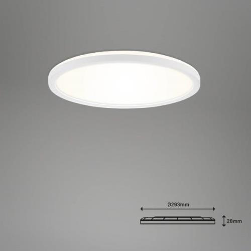 LED-kattovalaisin Slim S himmennettävä CCT valkoinen Ø 29 cm