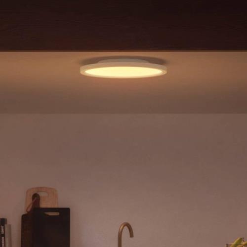 Philips Hue White&Color Surimu paneeli Ø39,5cm