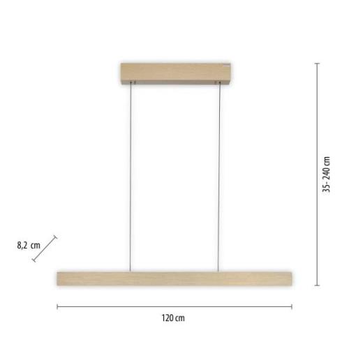 PURE E-Motion -LED-tankoriippuvalaisin, CCT, kulta