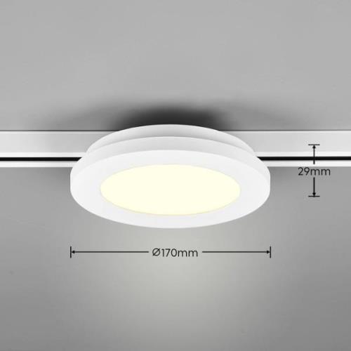 LED-kattovalaisin Camillus DUOline, Ø 17 cm, valkoinen