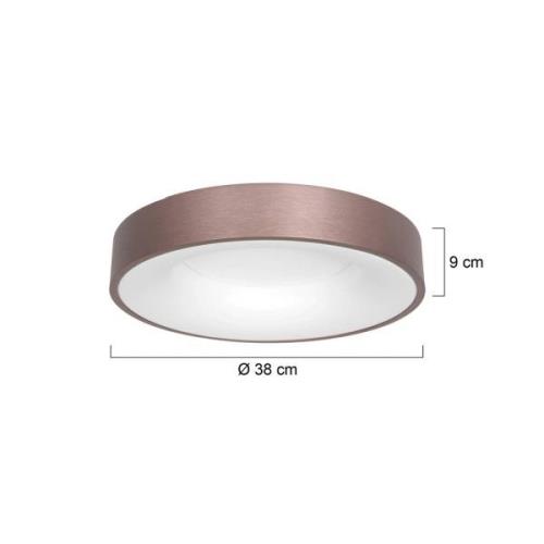 LED-kattovalaisin Ringlede, 2700 K Ø 38 cm pronssi