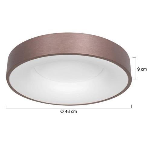 LED-kattovalaisin Ringlede, 2700 K Ø 48 cm pronssi