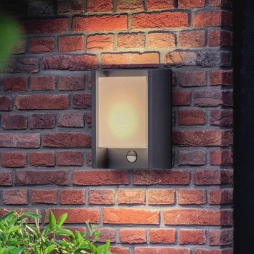 Philips LED-seinävalaisin Arbour UE, tunnistin, 2700 K