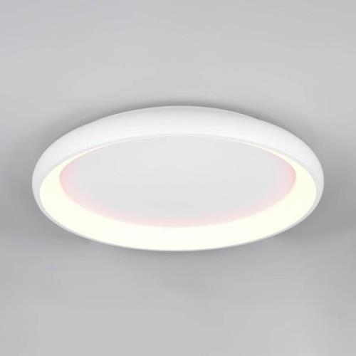 LED-kattovalaisin Cardona, Ø 75 cm, mattavalkoinen, metalli, CCT-lampp...