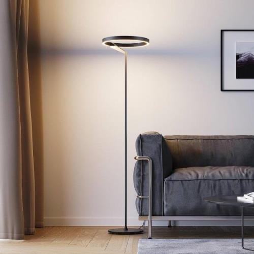 Molto Luce LED-lattiavalaisin Melli F, musta, alumiini, korkeus 168 cm