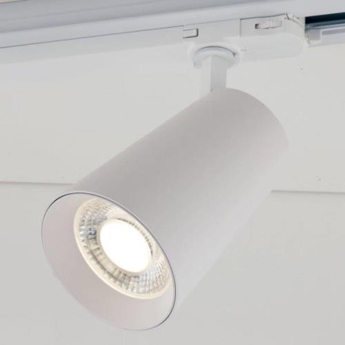 LED-kiskovalaisin Kone 3000K 24W valkoinen