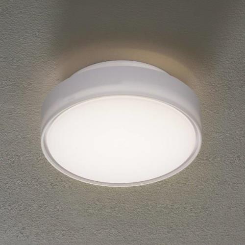 Hatton-LED-kattovalaisin IP65, 25 cm