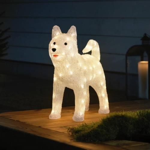 Husky-LED-koristevalo, kirkas IP44, K 43 cm