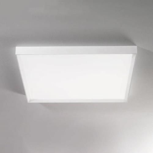 LED-kattovalaisin Tara maxi, 74 cm x 74 cm