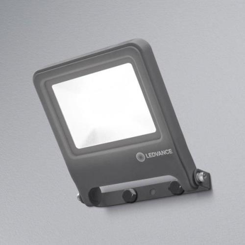 LEDVANCE Endura Floodlight LED-kohdevalaisin 30W