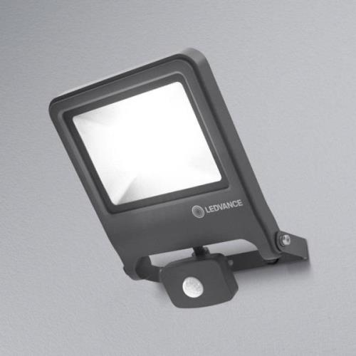 LEDVANCE Endura Floodlight sensor LED-spotti 50W