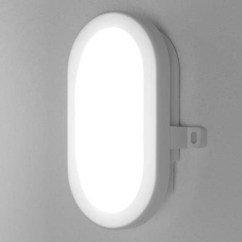 LEDVANCE Bulkhead -LED-ulkoseinälamppu 5,5 W