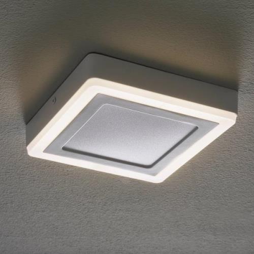 LEDVANCE LED Click White Square-kattovalaisin 20cm