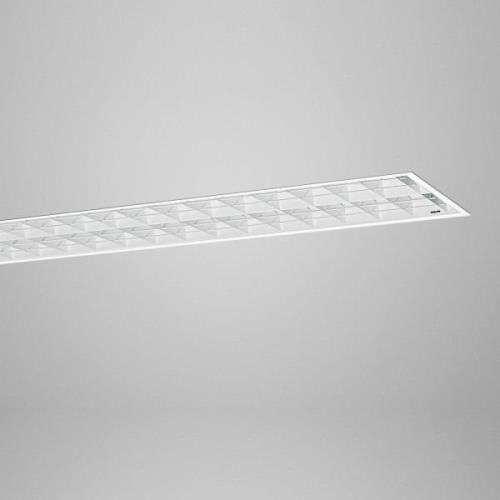 Regent Lighting Gym 2 -LED-halliuppovalaisin 100 W