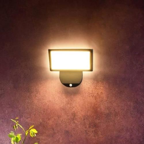 LED-ulkoseinävalaisin Alkes L anturilla, 30 cm