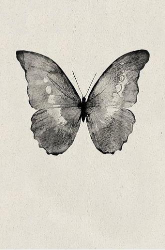 Juliste Black Butterfly