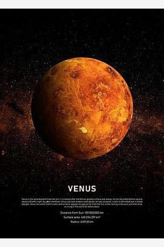 Juliste Venus