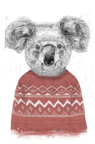 PelcasaJuliste Winter Koala (Red)ValkoinenJulisteet- Homeroom