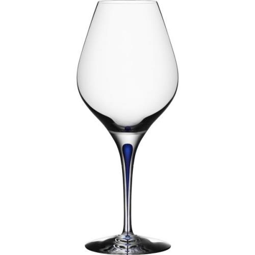 Orrefors Intermezzo Blå viinilasi Aroma, 62cl.