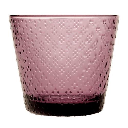 Iittala Tundra lasi 29 cl, kanerva, 2 kpl