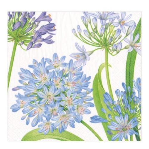 Caspari - Agapanthus Garden Servetti 40x40 cm 20 kpl