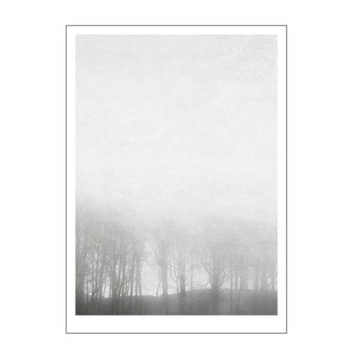 Poster & Frame - Ingrey Studio Juliste 50x70 cm Morning fog