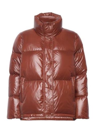 D1. Cropped Down Jacket Vuorillinen Takki Topattu Takki Brown GANT