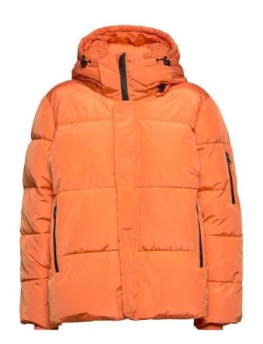 Hazekb Short Puffer Jacket Vuorillinen Takki Topattu Takki Orange Kare...