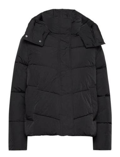 Modern Padded Jacket Vuorillinen Takki Topattu Takki Black Calvin Klei...