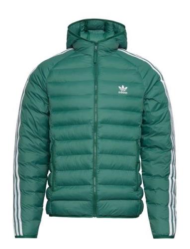 Pad Hooded Puff Vuorillinen Takki Topattu Takki Green Adidas Originals