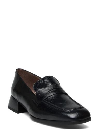 Ander Loaferit Matalat Kengät Black Wonders