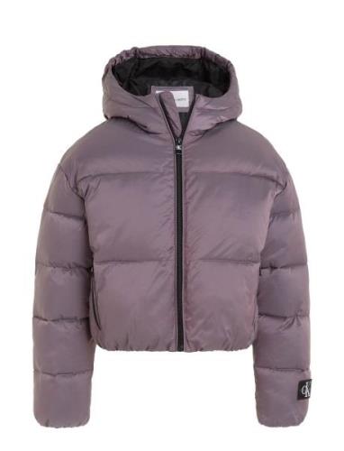 Hyper Two T Padded Bomber Toppatakki Purple Calvin Klein