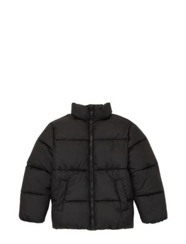 Puffer Winter Jacket Toppatakki Black Tom Tailor