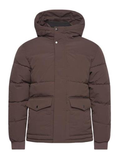 Jjdavid Puffer Jacket Vuorillinen Takki Topattu Takki Brown Jack & J S