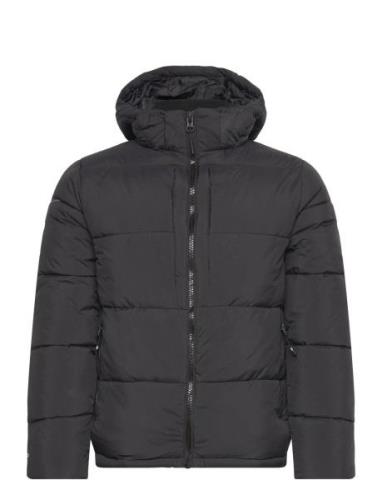 Morvan Hooded Jacket Vuorillinen Takki Topattu Takki Black NICCE