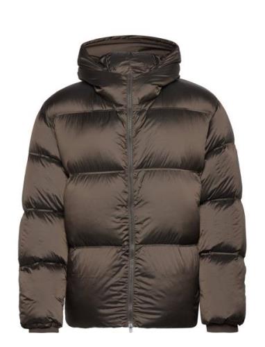 Hooded Puffer Jacket Vuorillinen Takki Topattu Takki Brown Filippa K