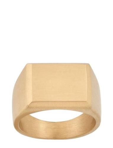 Cole Signet Ring Matt Gold Sormus Korut Gold Edblad