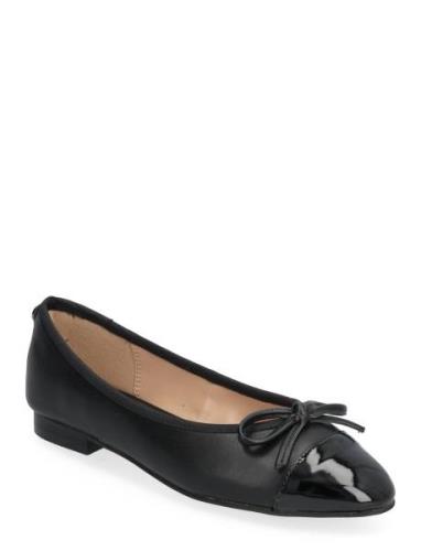 Ellison Ballerina Ballerinat Black Steve Madden