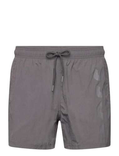 Octopus Uimashortsit Grey BOSS