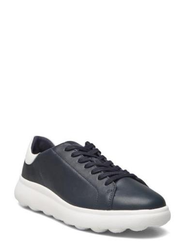 U Spherica Ec4.1 A Matalavartiset Sneakerit Tennarit Navy GEOX