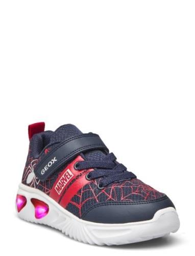 J Assister Boy D Matalavartiset Sneakerit Tennarit Navy GEOX