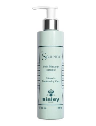 Le Sculpteur Ihovoide Vartalovoide Nude Sisley