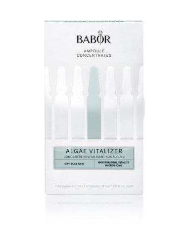 Algae Vitalizer Seerumi Kasvot Ihonhoito Nude Babor