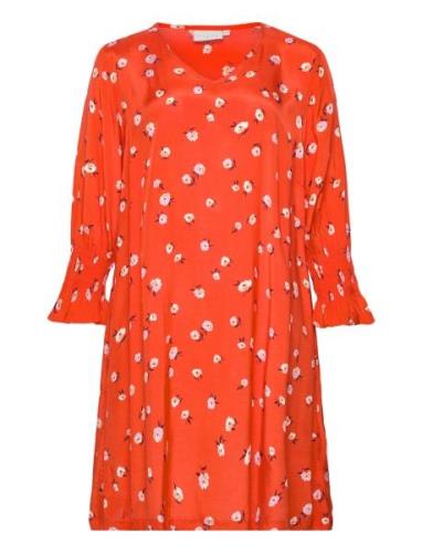 Kcolly Dress Polvipituinen Mekko Red Kaffe Curve