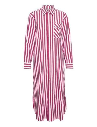 Curegina Shirtdress Polvipituinen Mekko Burgundy Culture