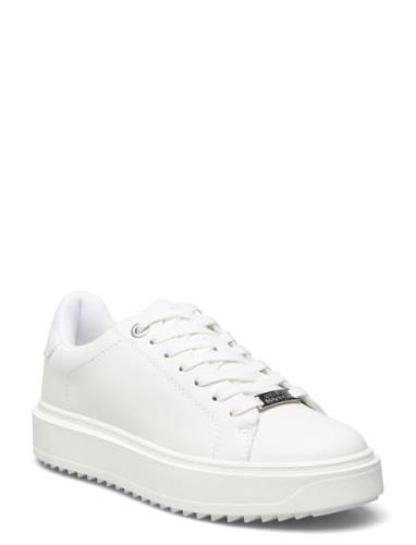 Catcher Sneaker Matalavartiset Sneakerit Tennarit White Steve Madden