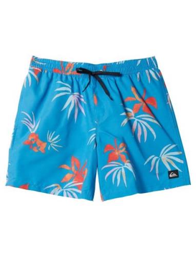 Everyday Mix Volley 15 Uimashortsit Blue Quiksilver