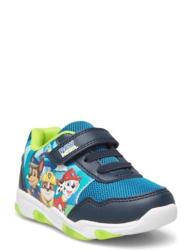 Pawpatrol Sneakers Matalavartiset Sneakerit Tennarit Blue Paw Patrol